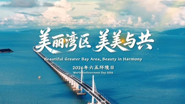 美丽湾区，美美与共