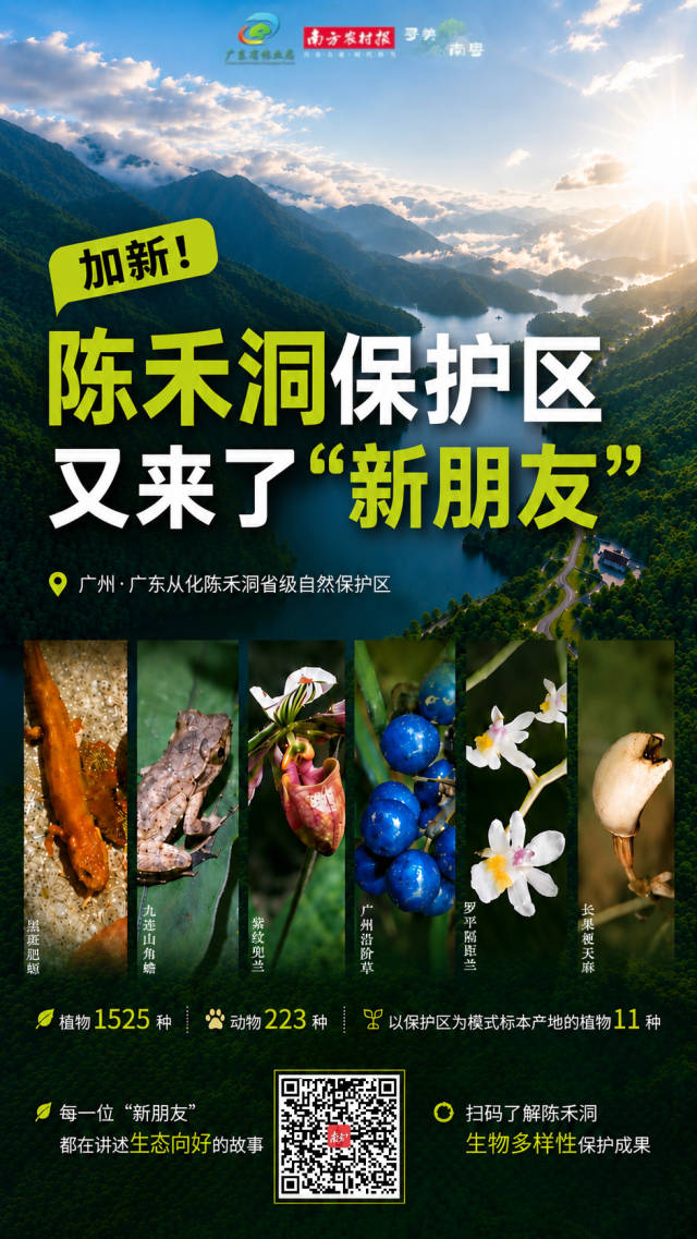 受访者供图