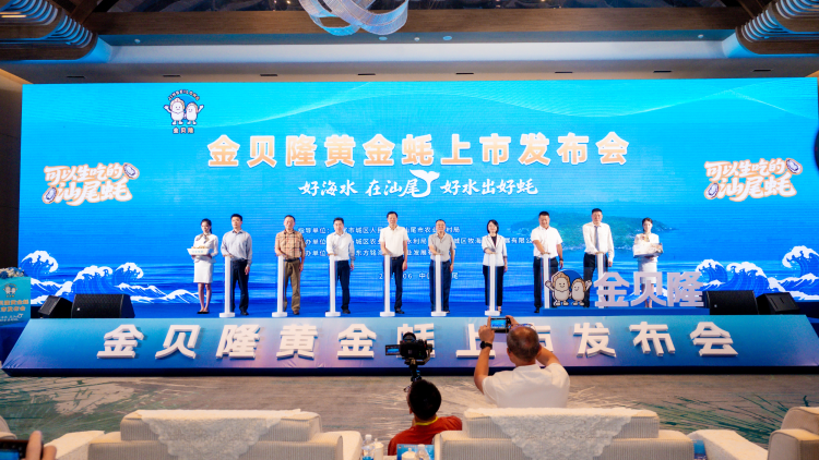 好水出好蚝！汕尾“金贝隆黄金蚝”正式上市