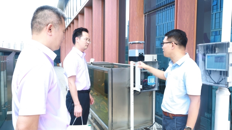 世界海洋日｜农行广东分行：守护蔚蓝，向海图强