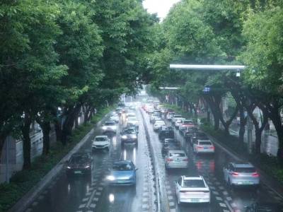 双预警齐挂！广州多区雷雨大风、暴雨黄色预警生效