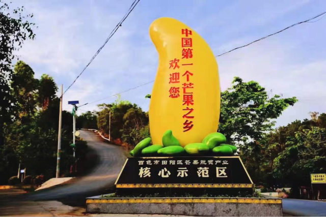 田阳为中国第一个芒果之乡 田阳为中国第一个芒果之乡