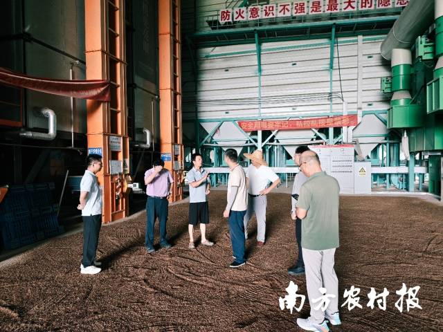 烘干中心技术指导 烘干中心技术指导
