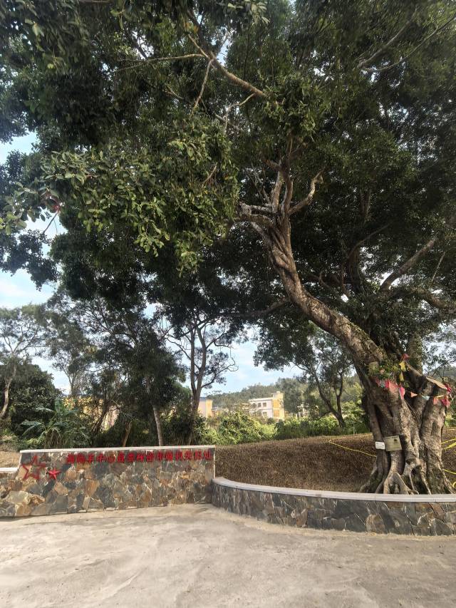 绿美红色乡村（图为深圳市深汕特别合作区赤石街道大安村）  
