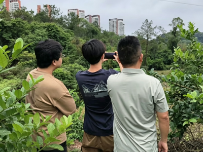 花都区建强一线护林力量，铺就“十五五”绿色发展底色