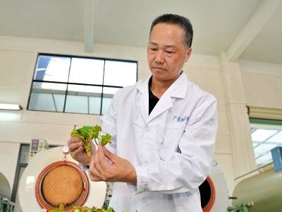 非遗茶人赖法卫：获推“中国好人榜”广东候选人，带着上千茶农一起致富