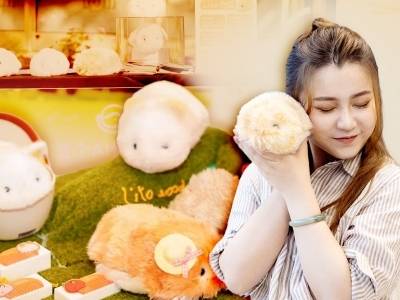 当代年轻人的“AI萌宠”！有记忆、懂情绪、还有专属梦境