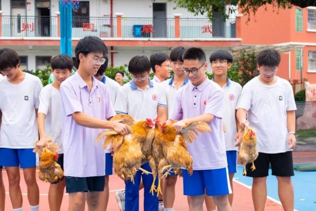 清远鸡vs客家盐焗鸡，粤超首场抓鸡大赛本周六开启