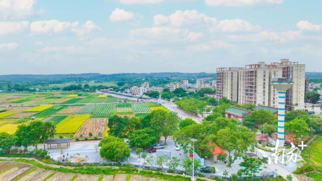 俯瞰东纯村，一片欣欣向荣的景象。吴东俊 摄