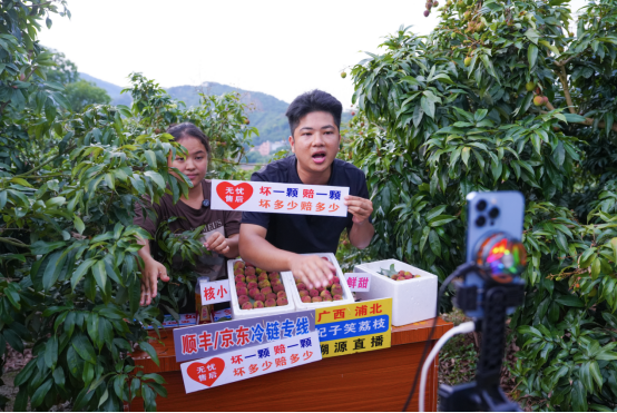 电商直播拓宽家乡“好荔”销路。 电商直播拓宽家乡“好荔”销路。