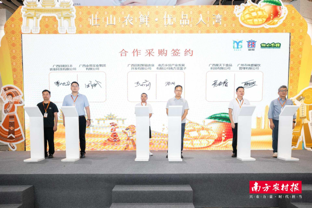 合作采购签约仪式 合作采购签约仪式