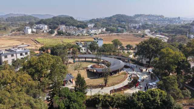 打造美丽乡村走廊，惠阳不断涌现出亲子乐园、帐篷露营等新业态，图为秋长古树公园。 