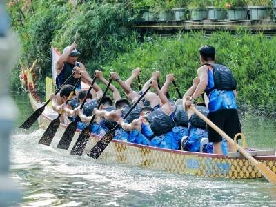 东莞水乡龙舟经济，“划”出新航道｜一水同舟
