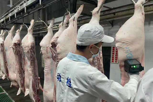受访者供图