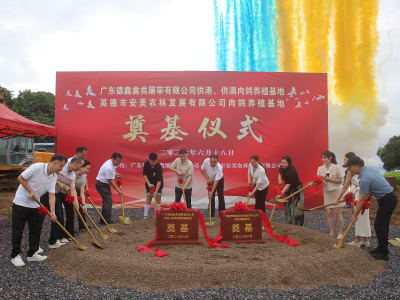 跑出招商 “浛洸速度”，清远英德两大养鸽项目奠基动工
