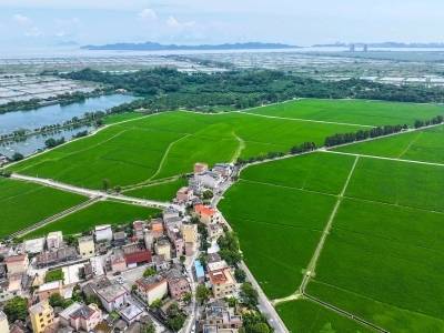 广东“南粤党员大讲堂”面向全省村、社区党员开展学习教育专题辅导