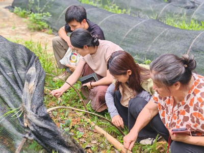 广东科贸职业学院组建专家组赴古兜山开展白云野化茶调研