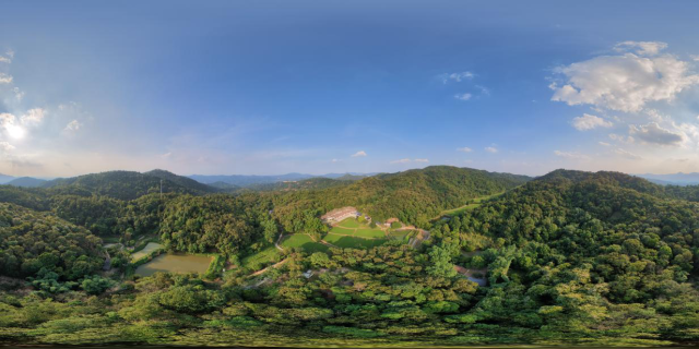 红山村茅輋自然村种植山茶,已有几百年历史。蓝东旭摄 红山村茅輋自然村种植山茶,已有几百年历史。蓝东旭摄