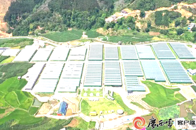 爱善庄园依托稻田景观在园区内配套建设科普研学劳动实践基地。 爱善庄园依托稻田景观在园区内配套建设科普研学劳动实践基地。
