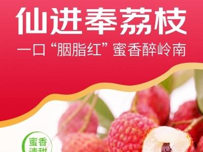 广货行天下·南方优品荔枝季 | 爆款持续热销！藏在增城仙村的晚熟贡品甜香