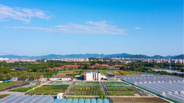 广东省良种引进服务公司白云基地