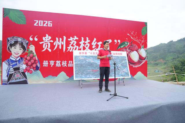 吴宇辉介绍册亨荔枝。