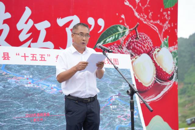 册亨县农业农村局高级农艺师王顺勇介绍册亨荔枝产业发展概况。