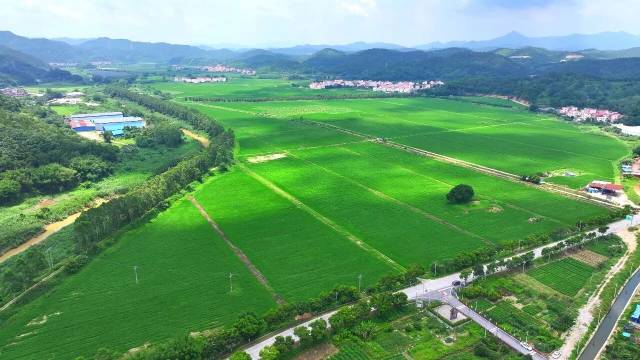 全面整治乡村环境乱象,优化乡村空间、净化水系生态,系统性修复乡村生态肌理。经过全方位整治,乡村实现水清岸绿、村容整洁、田园秀美的崭新风貌,打造生态宜居、城乡协调发展的乡村样板。 全面整治乡村环境乱象,优化乡村空间、净化水系生态,系统性修复乡村生态肌理。经过全方位整治,乡村实现水清岸绿、村容整洁、田园秀美的崭新风貌,打造生态宜居、城乡协调发展的乡村样板。