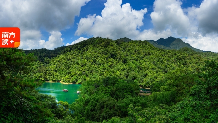 “70岁”的鼎湖山，为什么越活越年轻？
