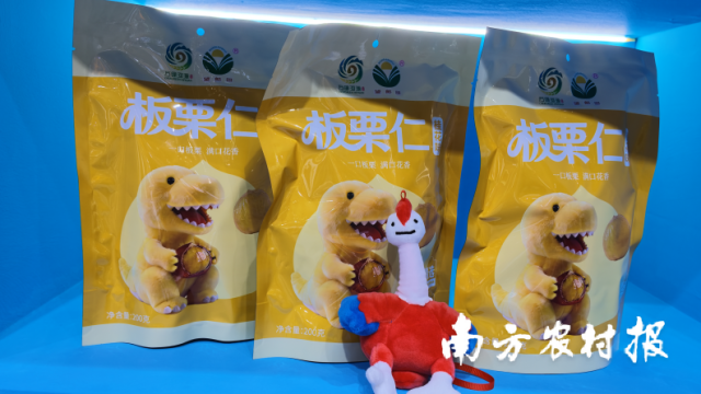 东源板栗仁产品 东源板栗仁产品