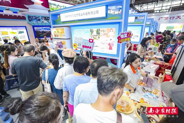 汕尾“汕农领鲜”首批授权的陆丰甘薯,在展会上深受消费者喜爱。 汕尾“汕农领鲜”首批授权的陆丰甘薯,在展会上深受消费者喜爱。