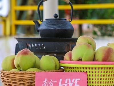 东江快评 | “首秀”鹰嘴蜜桃，“万绿优鲜”打响品牌建设第一枪