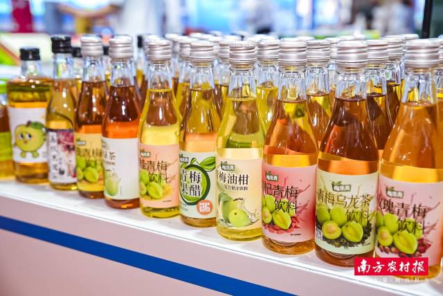 陆河青梅、油柑多风味果饮。