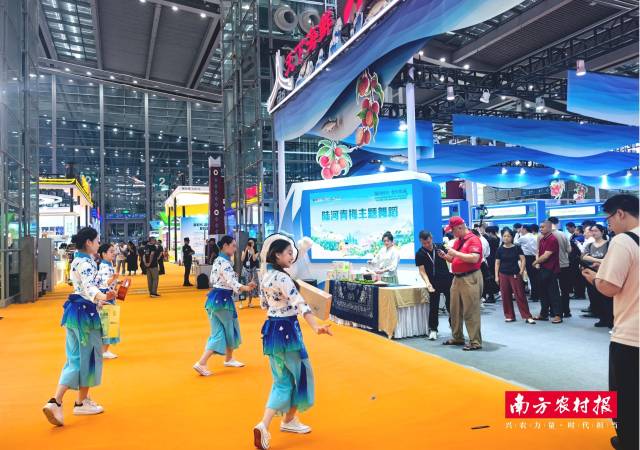 陆河青梅主题舞蹈展演展现活力陆河及地道风物。