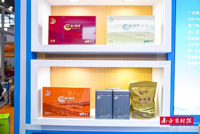 陆河云上陆茶