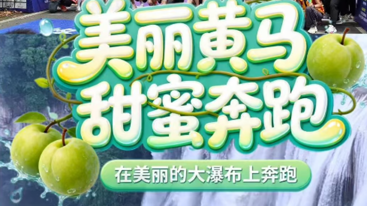 在美丽“黄马”，遇见“甜蜜镇宁”