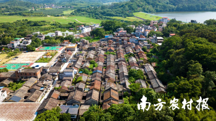 增城红色研学一日游｜解锁四大宝藏点位，沉浸式传承革命星火