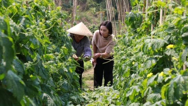 江门以人才为“笔”，绘侨都城乡之“变”