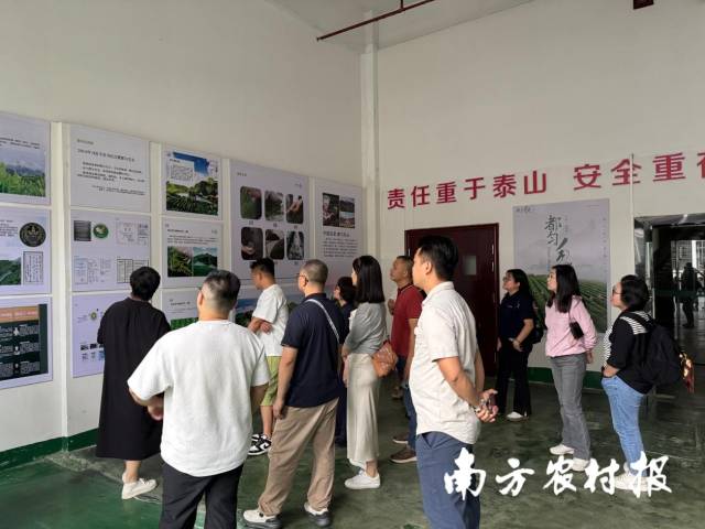产地行采购商考察现场。 产地行采购商考察现场。