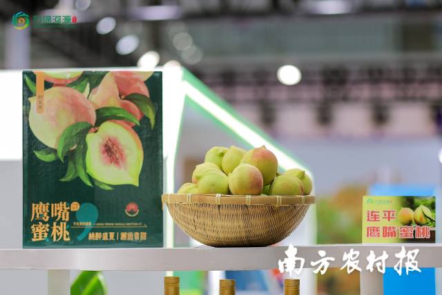 微信图片_20260704122537_532_162  受访者供图