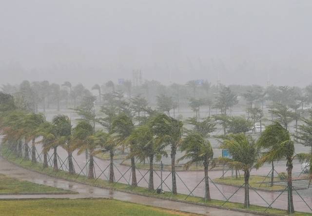 受台风影响,徐闻风雨交加。