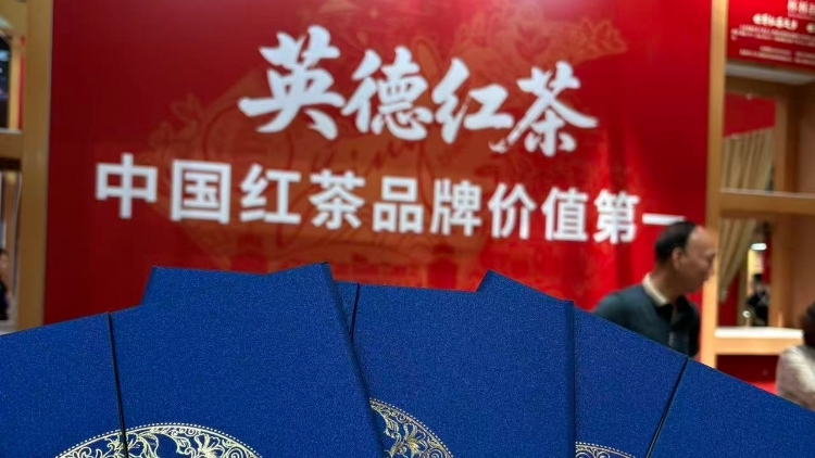 塞北摘誉！三家英德红茶企业获 2026 呼和浩特茶博会 “亚泰杯” 优质奖