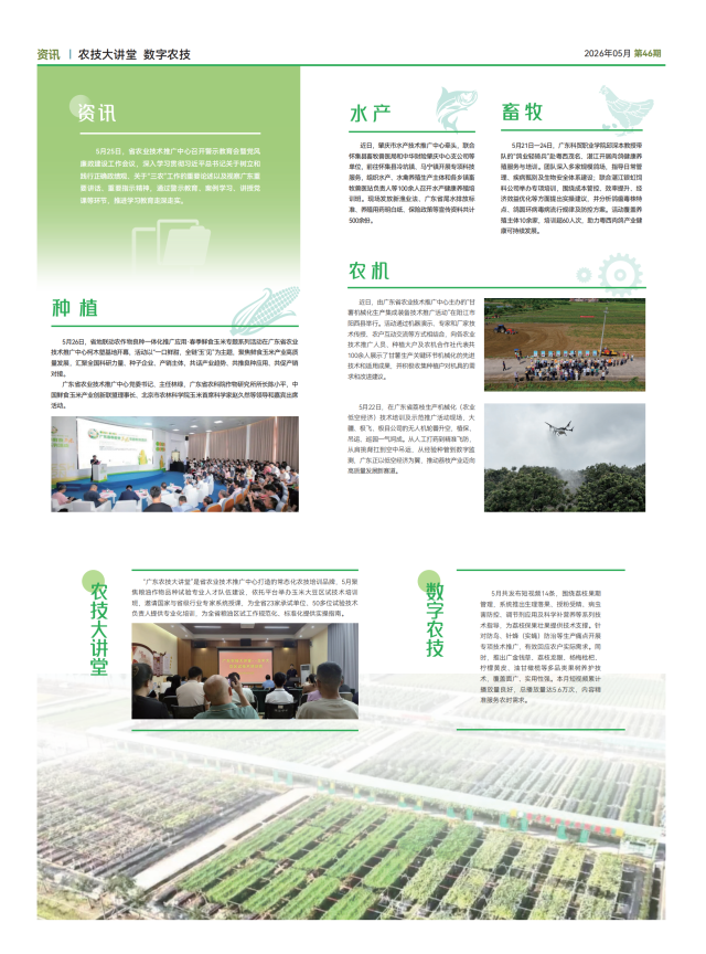轻骑兵月报5月_03 南方农村报 王惠 绘图