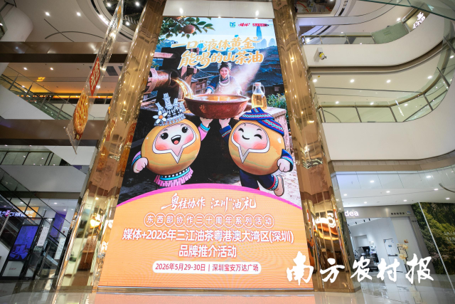 粤桂协作·江川“油”礼——媒体+2026年三江油茶粤港澳大湾区(深圳)品牌推介活动走进深圳。 粤桂协作·江川“油”礼——媒体+2026年三江油茶粤港澳大湾区(深圳)品牌推介活动走进深圳。