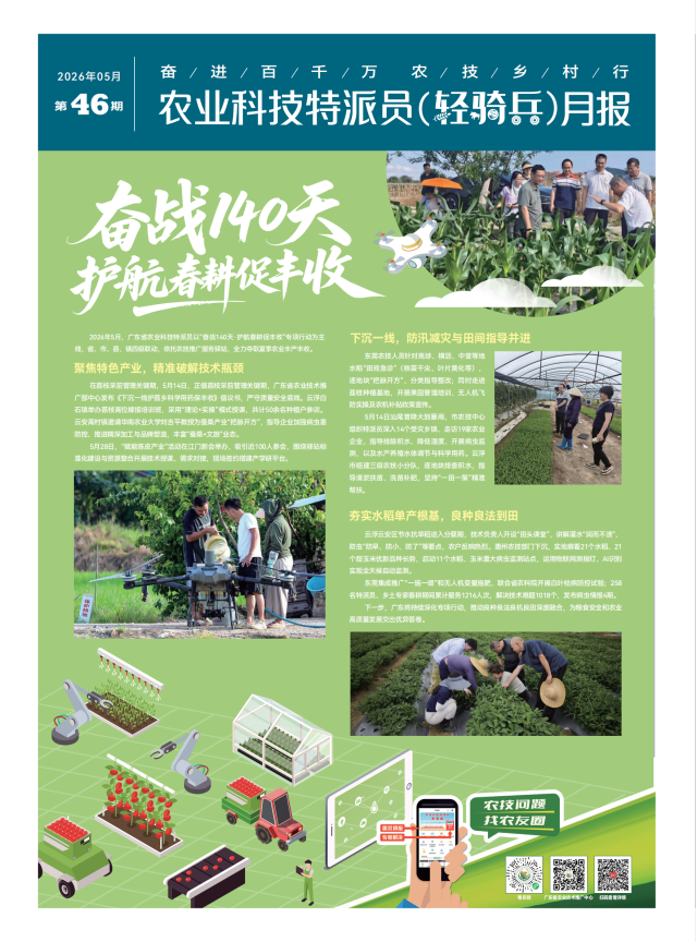 轻骑兵月报5月_01 南方农村报 王惠 绘图