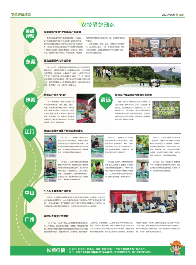 轻骑兵月报5月_04 南方农村报 王惠 绘图