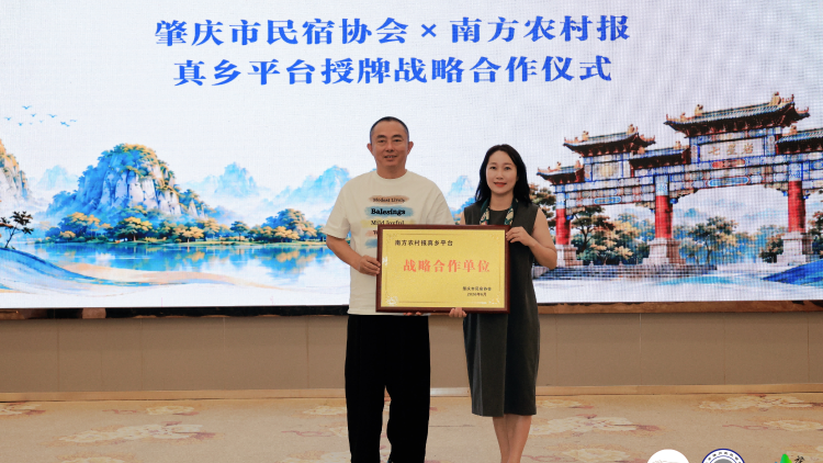 深化农文旅融合丨肇庆市民宿协会与南方农村报真乡平台达成战略合作