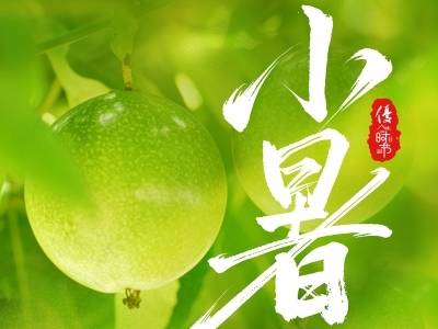优·时节 | 小暑蝉声沸 百香蜜意长