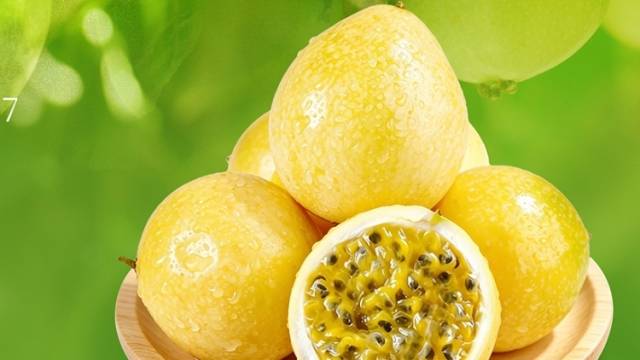 优·时节 | 小暑蝉声沸 百香蜜意长