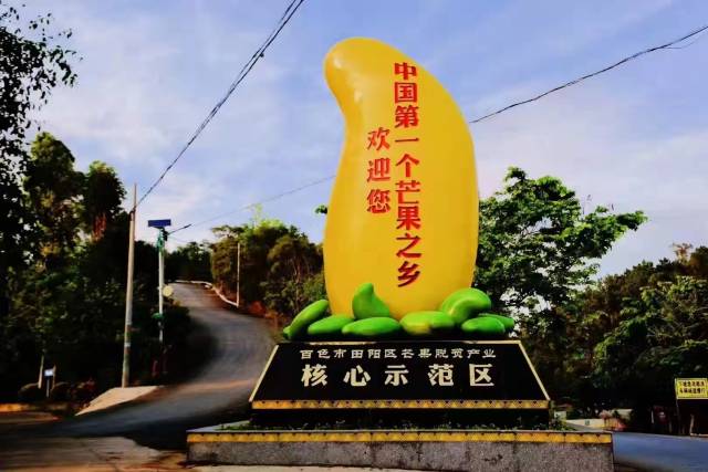 如今,芒果已是广西“致富果”。 如今,芒果已是广西“致富果”。